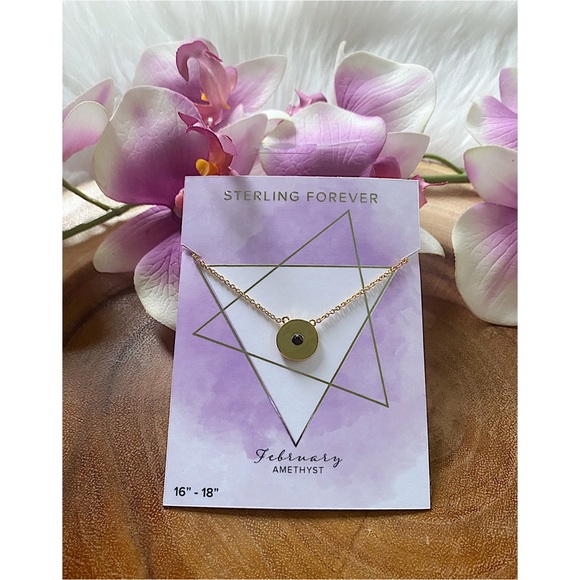 NWT Sterling Forever February Birthstone Necklace - Picture 1 of 6